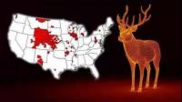 「僵尸鹿」席卷北美，这是种什么疾病？人类会被感染吗？