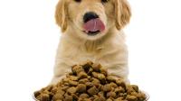一个多月的幼犬每天吃多少狗粮？