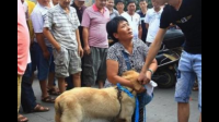 为什么很多人把对「爱狗人士」的恨上升到对整个养狗人群？甚至对狗充满恶意？