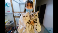 那些喊着没条件不能生娃的人，为什么要养猫狗？