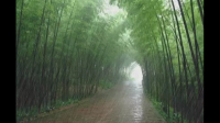 阴雨天瞌睡犯困是什么原因?