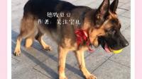 国外是如何训犬的呢？能否推荐一些国外系统的训犬教程或书籍，偏重于德牧和金毛