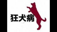 狂犬病毒进入中枢神经后能长期潜伏吗？