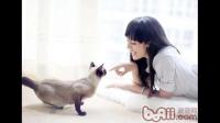 怎样与猫咪建立良好的人宠关系，让猫咪更亲人，更听话？