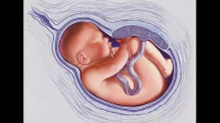 胎儿在子宫里可以感受到声音吗？