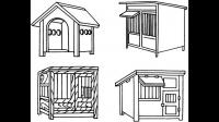 怎样成立一个专业的犬舍？