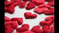 INFJ 似乎不渴望事业上或名和利的成功，那么