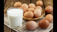 为什么经常吃鸡蛋喝牛奶，身体还是蛋白质缺乏？