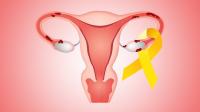 子宫内膜厚度影响怀孕吗？