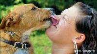 狗狗舔你是因为爱你吗？