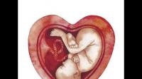 孕37周，检查发现胎儿偏小一个月，该怎么办啊？
