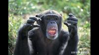 北京回龙观医院精神科立秋以来就诊人数明显增多，较前增加了 20% 左右，这一数据说明了什么？
