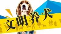未拴绳宠物狗伤人狗主人被判赔 11 万，如何从法律角度解读此判决？