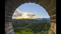 陌生人，你活下去的希望、理由是什么?
