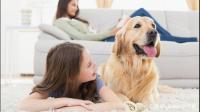 怎么才能养的起这么能吃的大型犬？