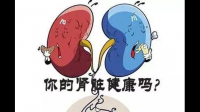 长期蛋白质摄入过多，对身体有哪些不良影响？