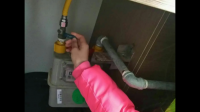 房子里发生火灾，在房子里有你养了8年的狗和一个陌生的小孩，你有能力且只能救出一条生命出来，你会选择？