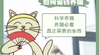 如何低成本在家里养一盆「生机勃勃」的猫草？