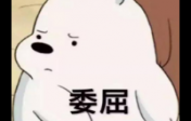 那些做供卵试管的人最后怎么样了？她们后悔吗？