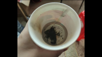 怀孕后婆婆找了一个偏方给我说吃了以后孩子会很聪明，我要不要吃？