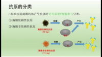 HIV试纸中重组抗原是否具有免疫原性?HIV试纸中重组抗原进入人体是否反应产生抗体？