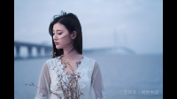 请问一下有比较适合送人的绿茶吗？ 送年轻人的，包装精致一点。？