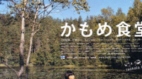 近日一小男孩观赏海鸥时，在父母的帮助下抓海