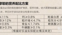 怎么辨别狗粮好坏？