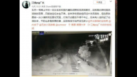 如何看待湘潭大学狗咬人事件？