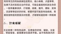 有哪些实用的养宠小知识？