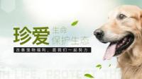 猫咪身上秃了一块有哪些原因？