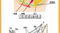 产后夫妻生活不和谐，难道是顺产让“下面”变松的原因吗？
