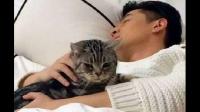 为什么男生那么喜欢养猫？