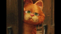 如何看待加菲猫走丢后的那段话？