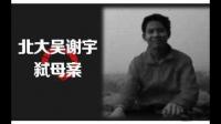 吴谢宇弑母案真实动机，可参看笔者最新文章，文中有细致分析，能合理解释吴案各已知细节。想听听大家意见。？